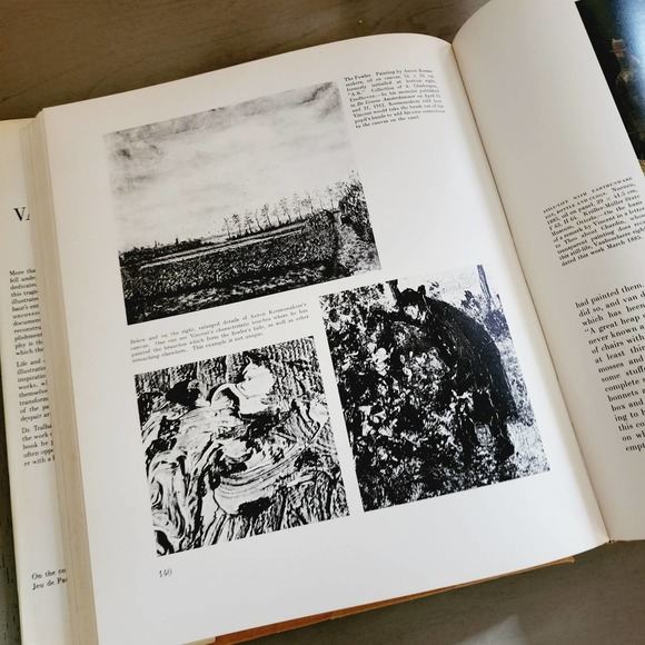 Vincent Van Gogh by Marc Edo Tralbaut Hardcover Table Book Printed Italy 1969 - Picture 9 of 14
